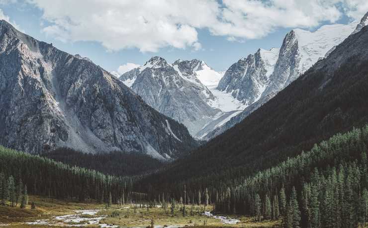 GA黄金甲-2026世界杯预选赛C组中国队排名预测